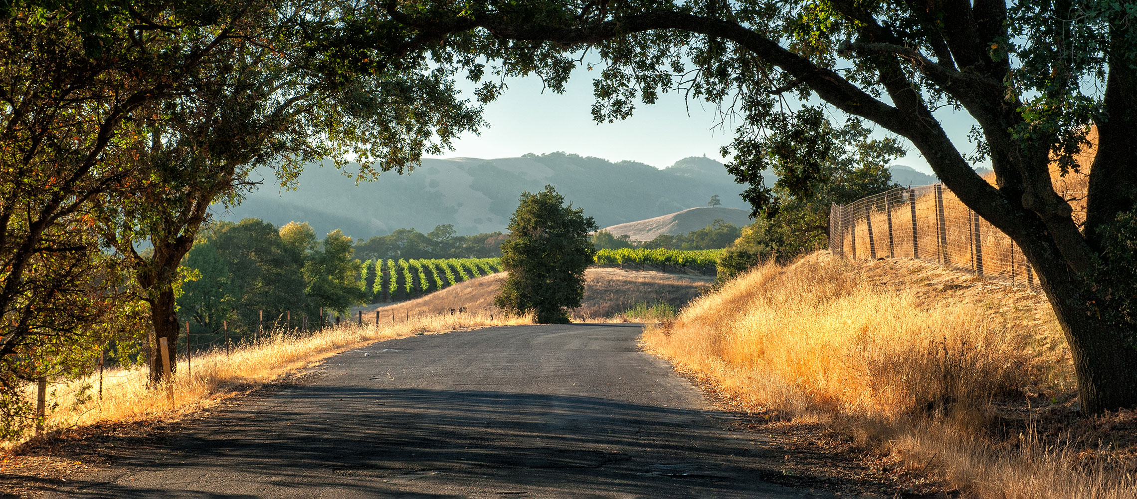 relaxing vacations in northern california scenic landscape