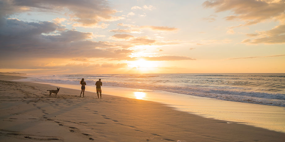 couple standing on a beach at sunset