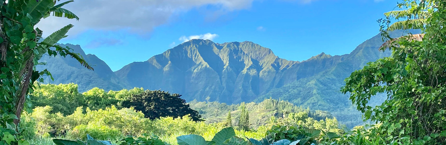 mountain range scenic photo