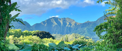 mountain range scenic photo