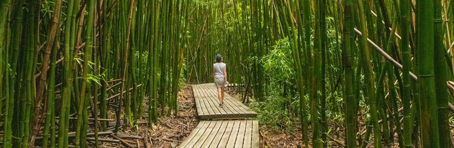 woman walking in a bamboo forest