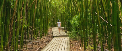 woman walking in a bamboo forest