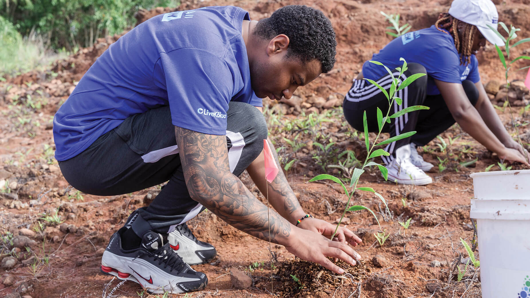 Guam employee planting a tree
