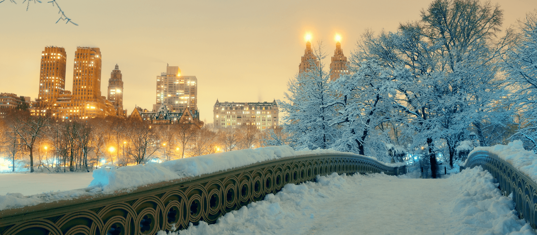 Snowy bridge in Central Park
