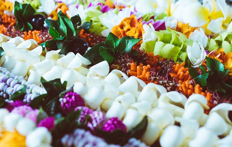 May Day is Lei Day In Hawai'i  Hawaiian Lei — My Hawaii Hostel