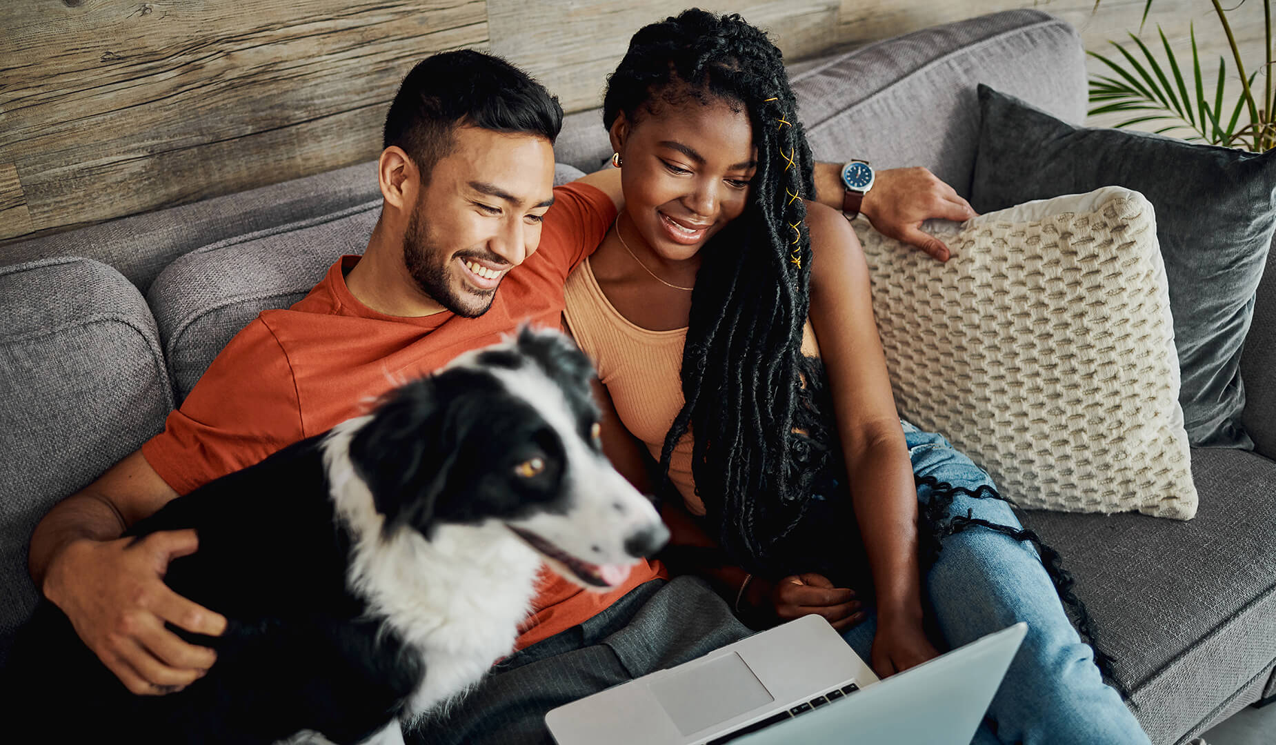 couple with dog on a couch looking at a laptop