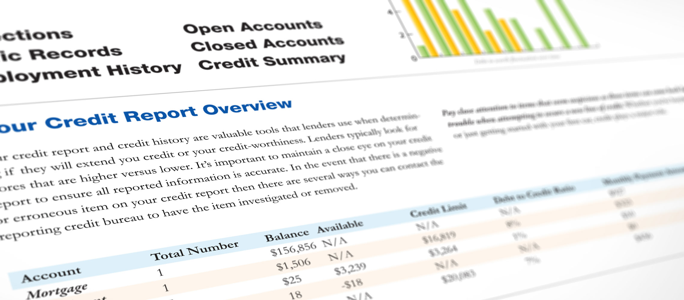 sample credit report overview