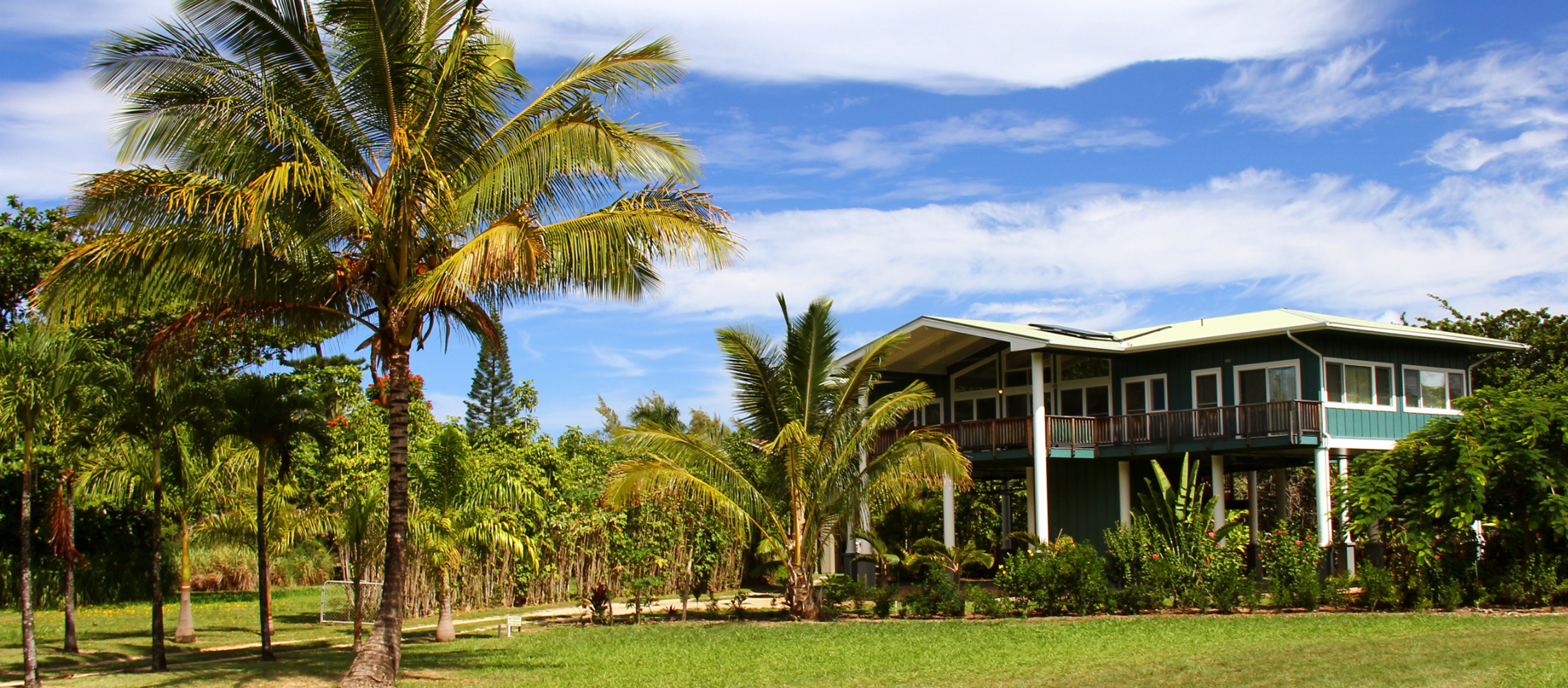 Home with front yard and palm tree in Hawaii