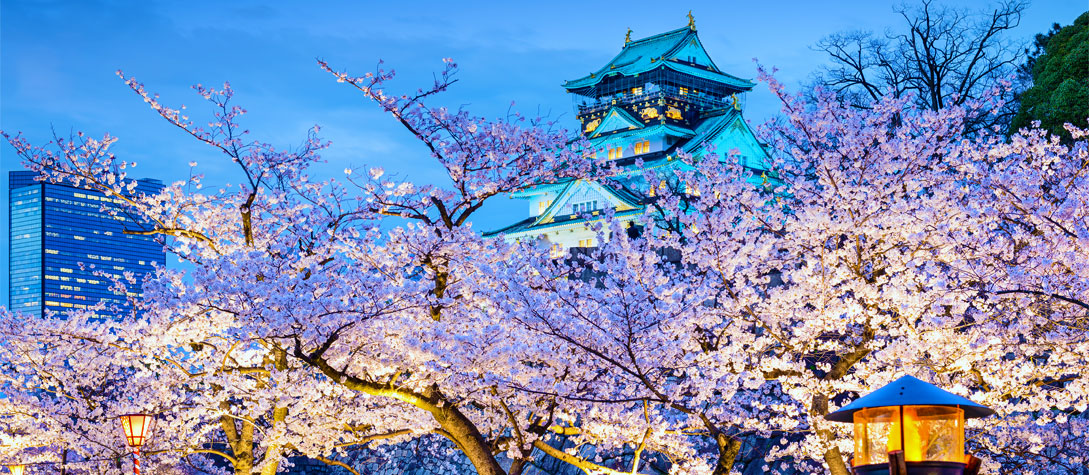 Osaka castle