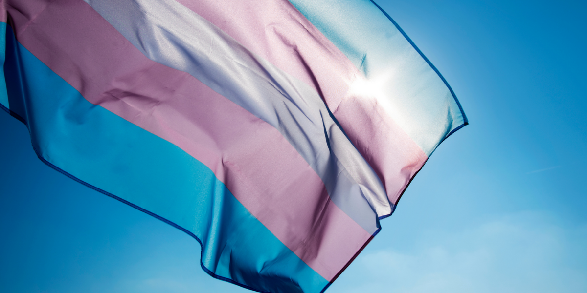 article-pride-month-the-evolution-of-the-rainbow-flag-transgender-flag.png