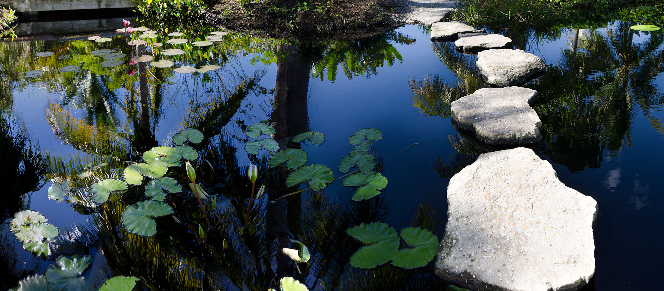 rock stepping stones in pond