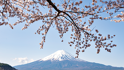 <p>View Credit Card Offers</p>

    