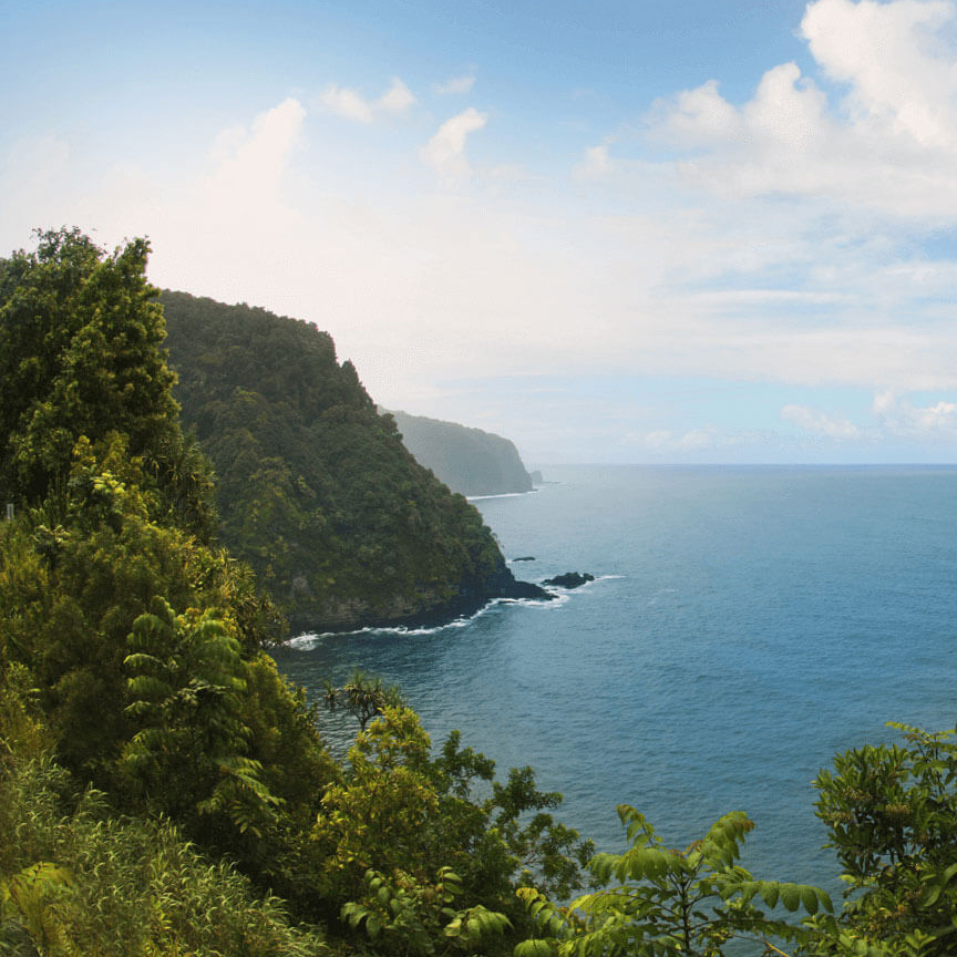 mountain coast line