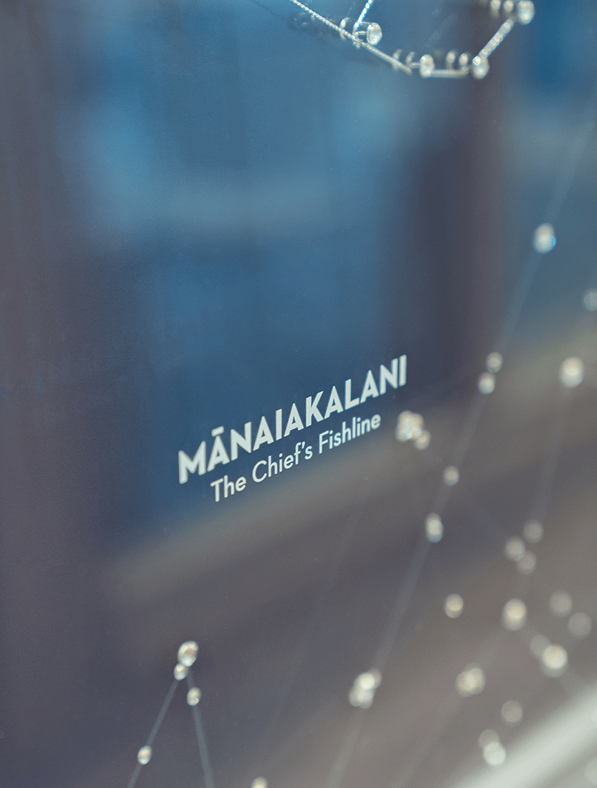 Mililani Branch Shadow Boxes