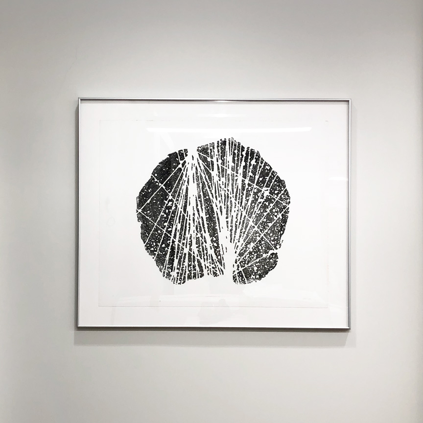 Waimea Branch Conversations art piece