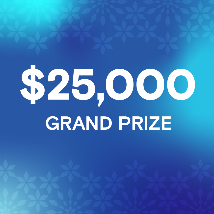 Holiday Giveaway prize $25,000 grand prize