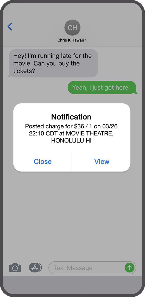 debit card alerts screen